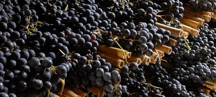 Chianti Lovers 2019 : i protagonisti
