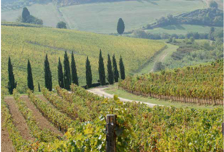 Il Chianti parla (anche) Inglese