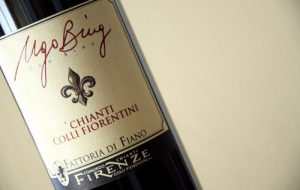 Fattoria di Fiano Ugo Bing