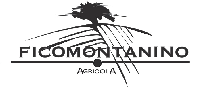 Ficomontanino Vettoriale B N