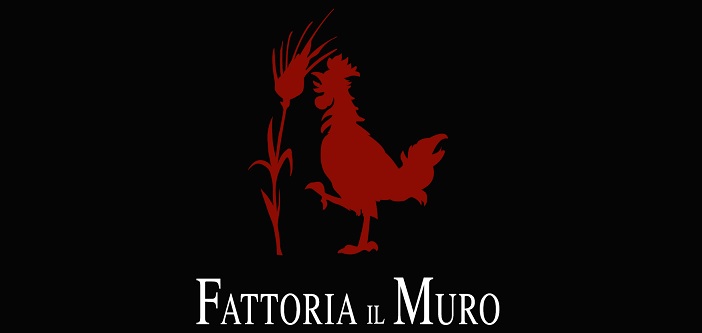 Il Muro