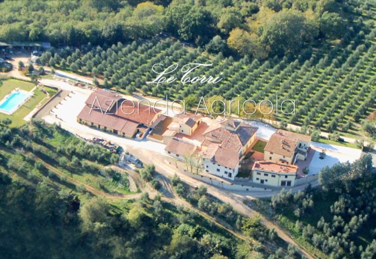 Le torri 768x530