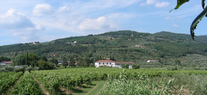 Marini