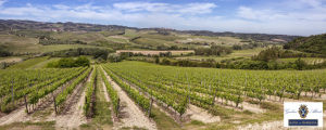Societa Agricola Fondiaria Ligure Toscana