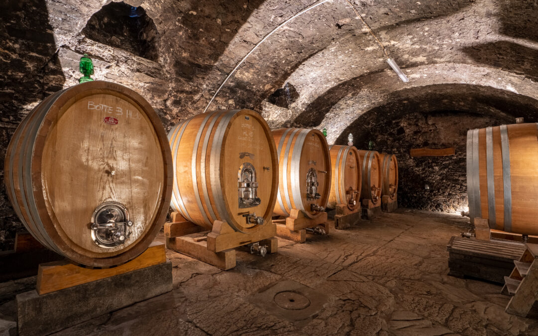 Il Consorzio Chianti: “Vendemmia al top dopo 5 anni, ma il rincaro dei costi frena tutto il settore”